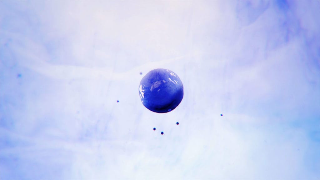 trout mozaik 3danimation 07