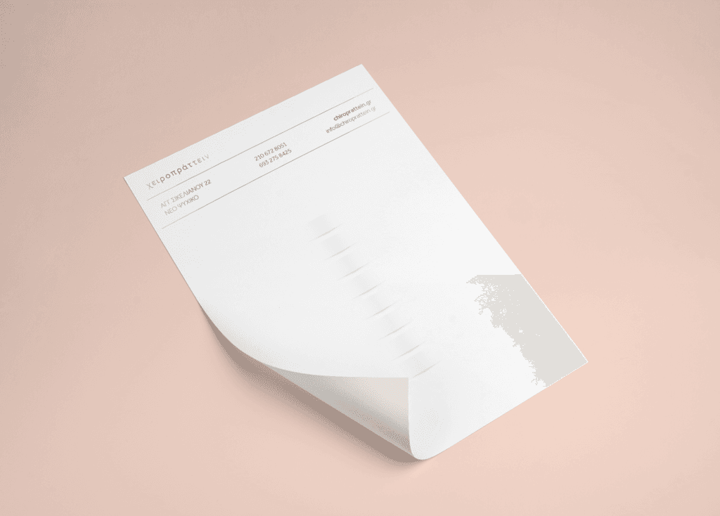 trout chiroprattein visual identity 06