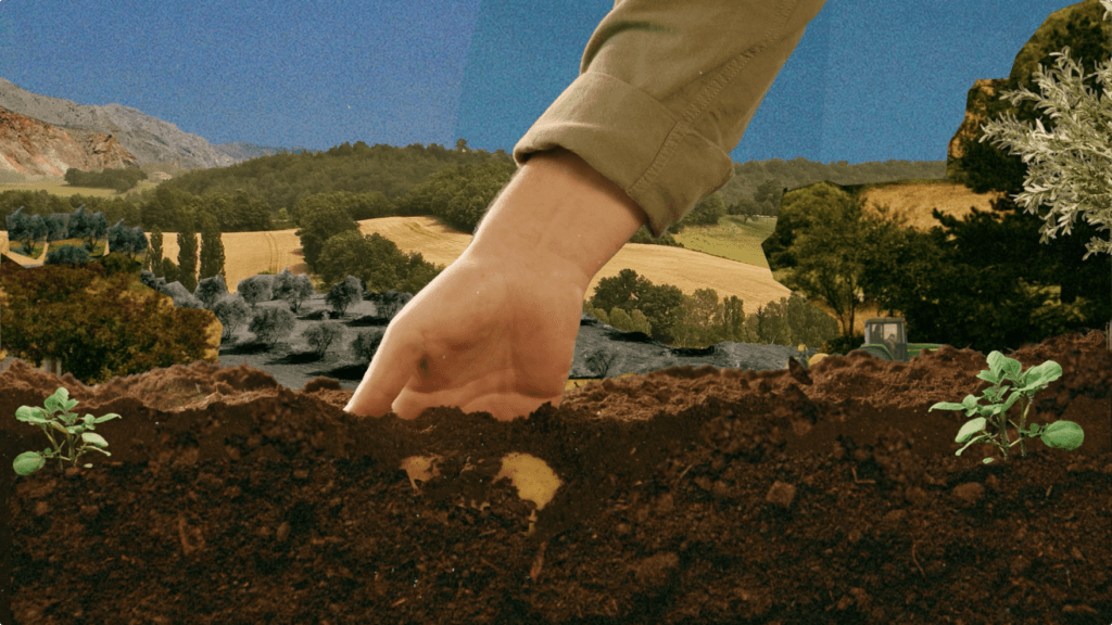 trout_tsakiris-roots_02